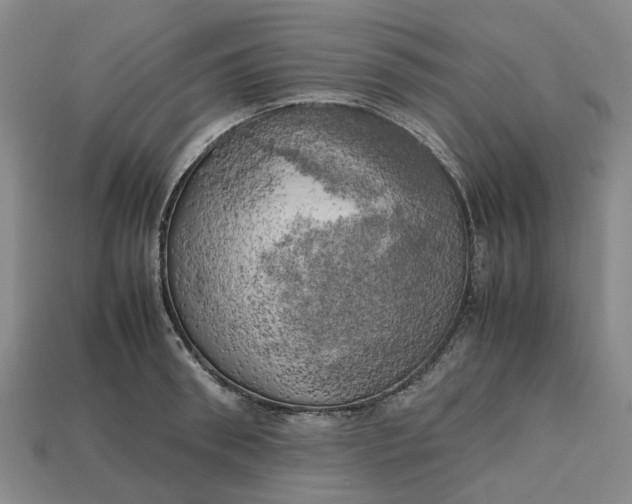 X0000112970898200909171316