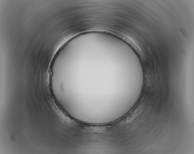 X0000112970900200909171316