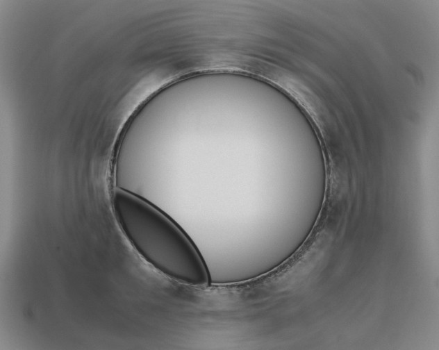 X0000112970901200909171316