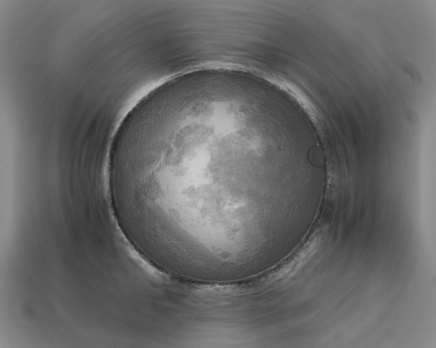 X0000112970902200909171315