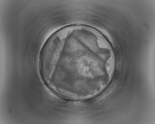 X0000112970903200909171315