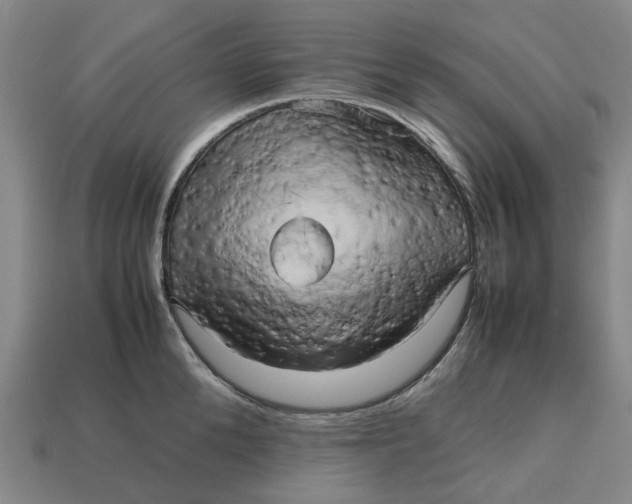 X0000112970904200909171315