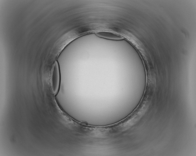 X0000112970905200909171315