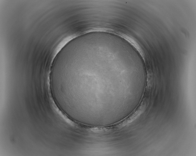 X0000112970906200909171315