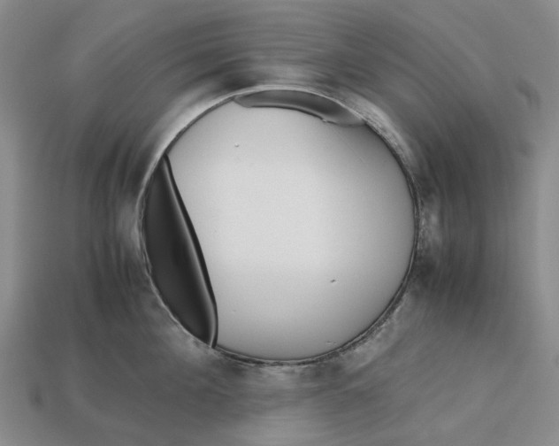 X0000112970908200909171315