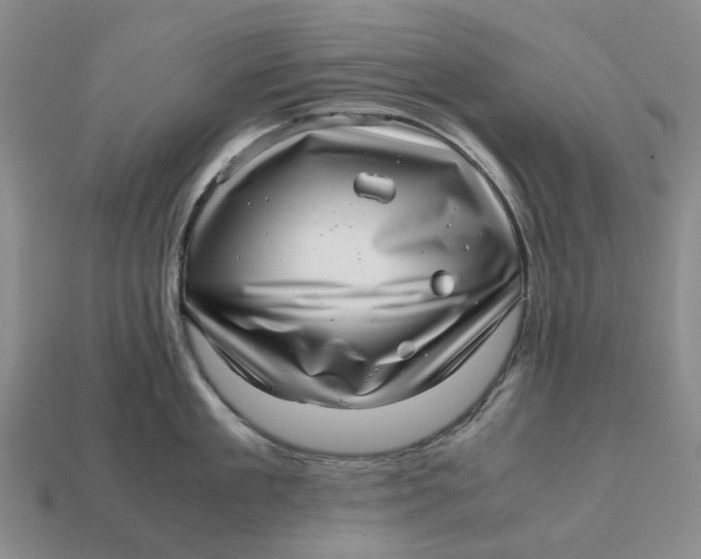 X0000112970909200909171315