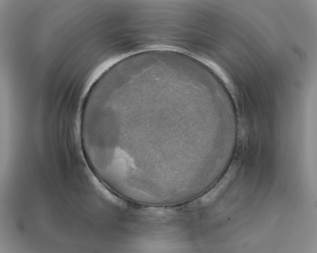 X0000112970910200909171315