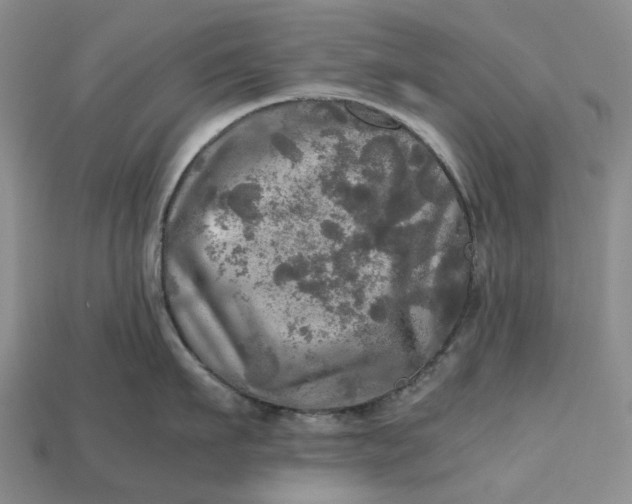 X0000112970911200909171315