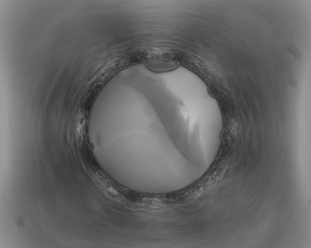 X0000112970914200909171315