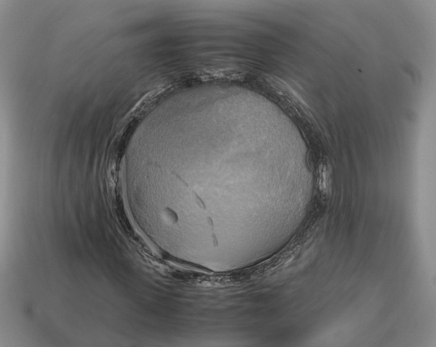 X0000112970915200909171315