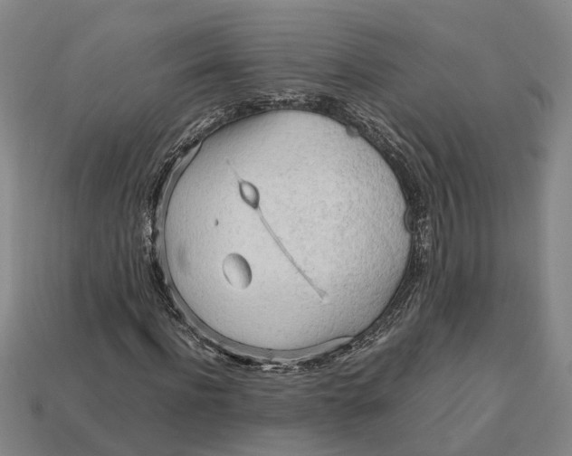 X0000112970916200909171315