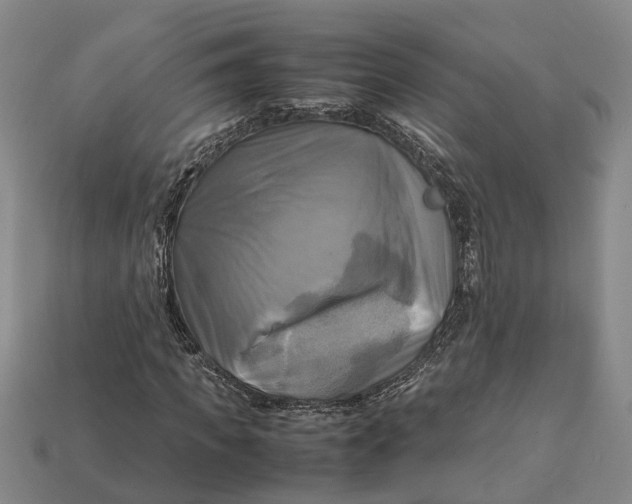 X0000112970917200909171315