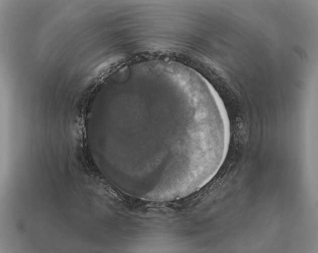 X0000112970918200909171315