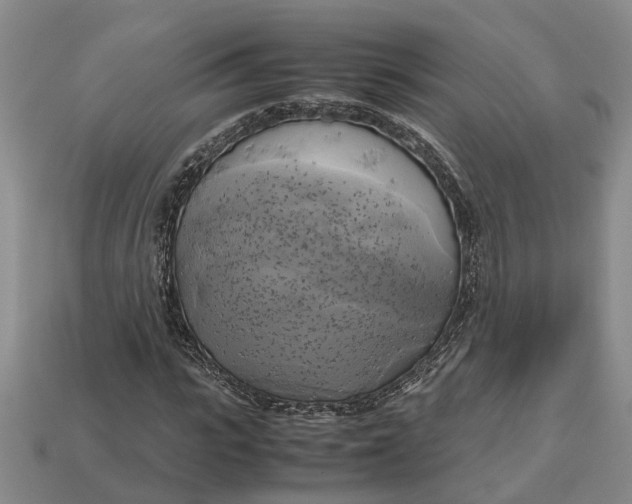 X0000112970919200909171315