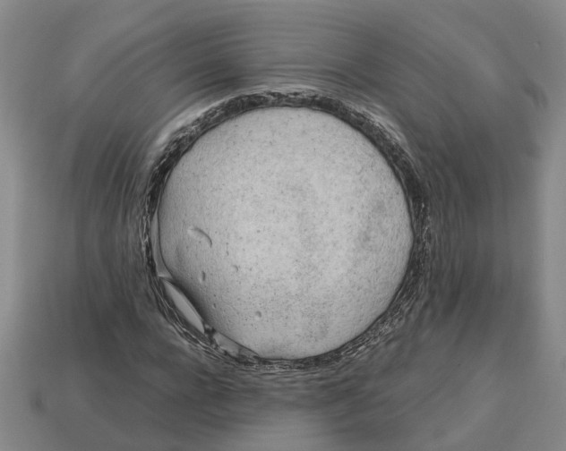 X0000112970920200909171315