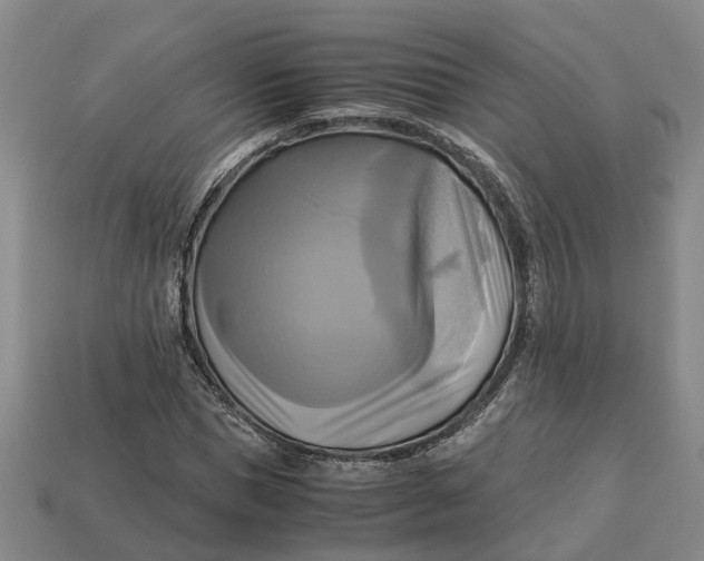 X0000112970921200909171315