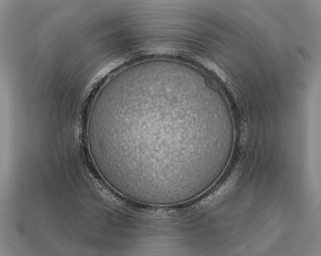 X0000112970922200909171315