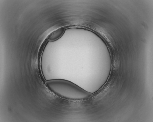 X0000112970924200909171315