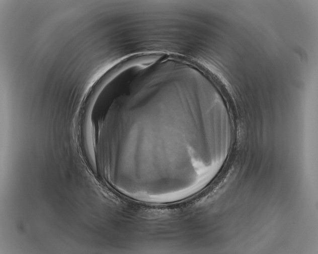 X0000112970925200909171315