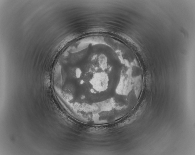 X0000112970929200909171315