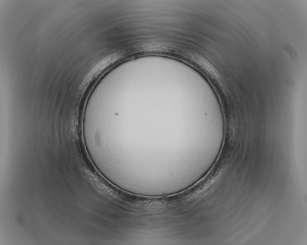 X0000112970930200909171315