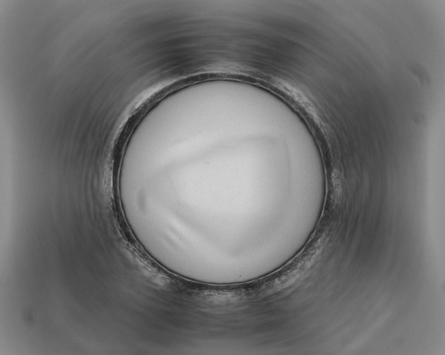 X0000112970931200909171315