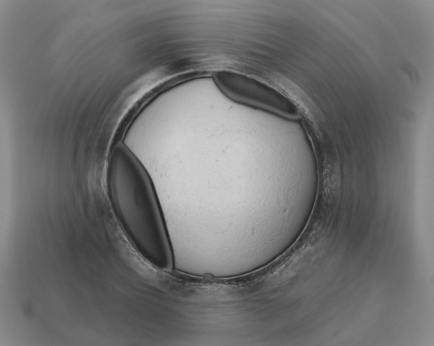 X0000112970932200909171315