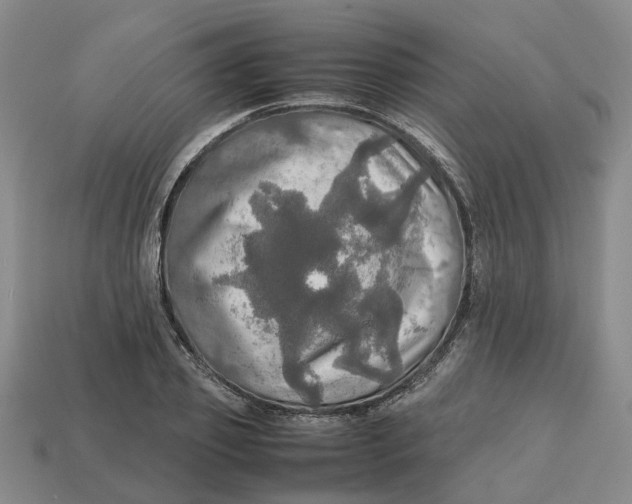 X0000112970933200909171315