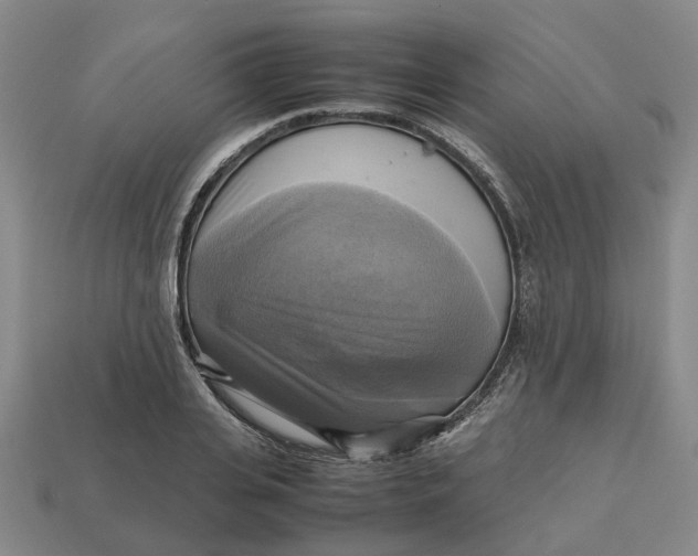 X0000112970935200909171315