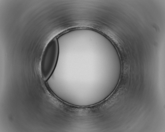 X0000112970936200909171315