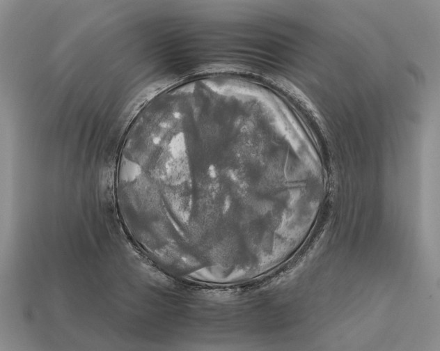 X0000112970937200909171315