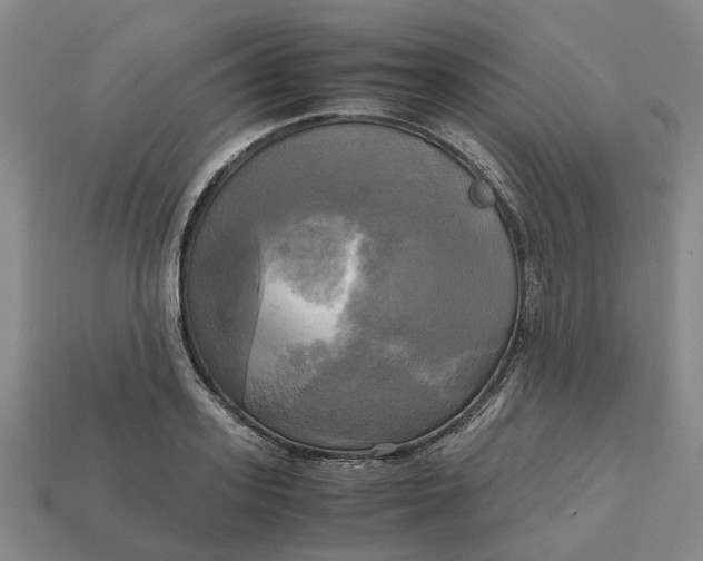 X0000112970939200909171315