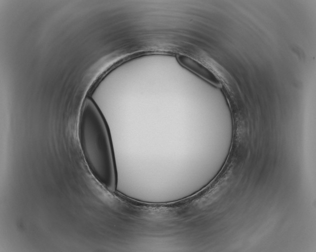 X0000112970940200909171315