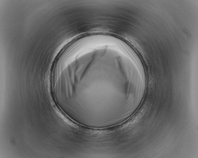 X0000112970941200909171315