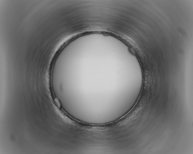 X0000112970942200909171315