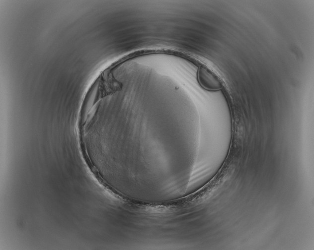 X0000112970943200909171315