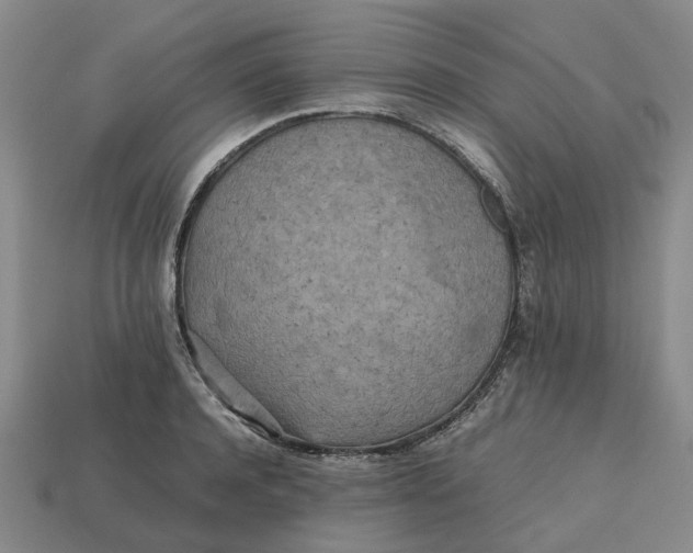 X0000112970944200909171315