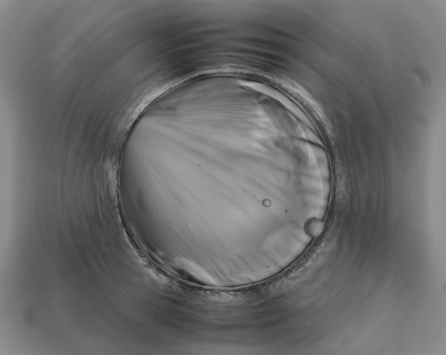 X0000112970945200909171315