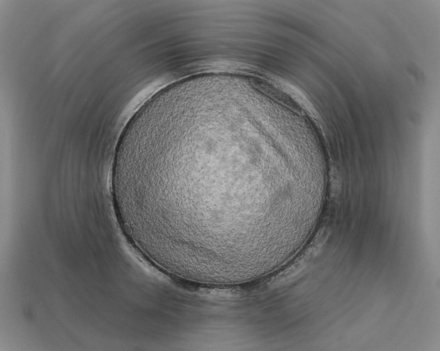 X0000112970946200909171315