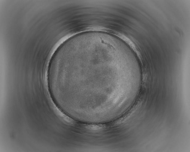 X0000112970947200909171315