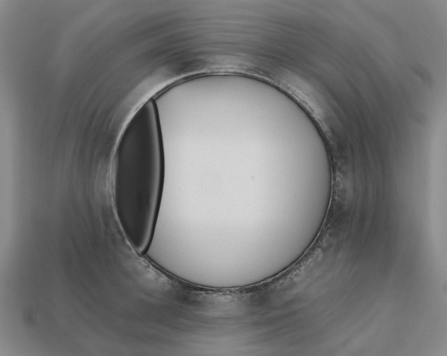 X0000112970948200909171315