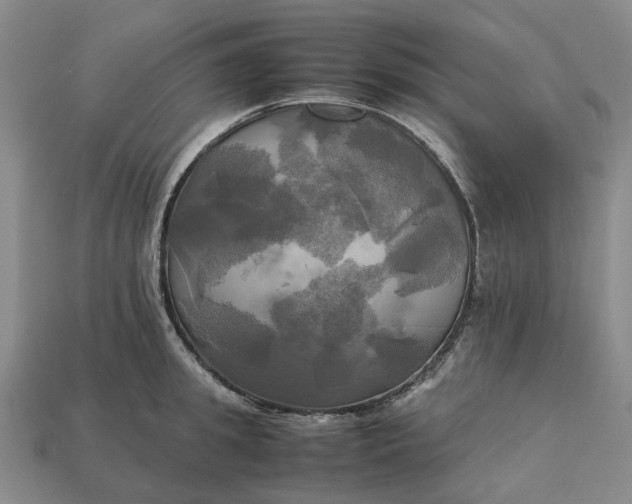 X0000112970949200909171315