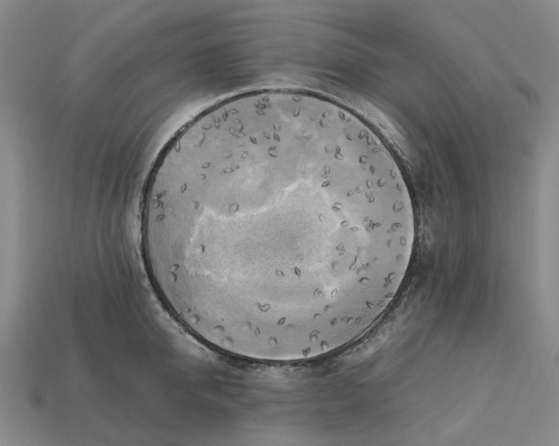 X0000112970950200909171315