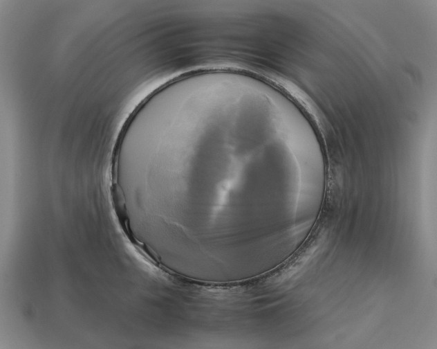 X0000112970951200909171315