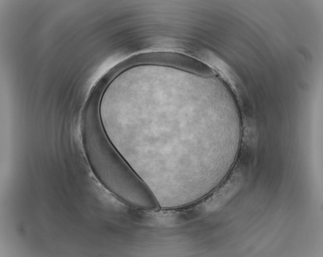 X0000112970952200909171315