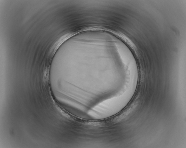 X0000112970953200909171315