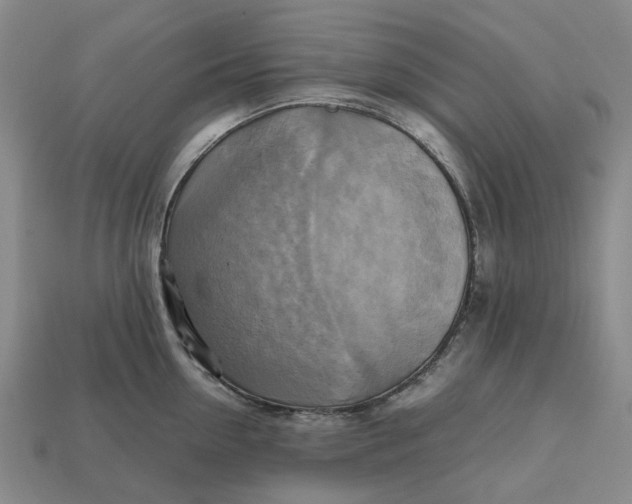 X0000112970954200909171315