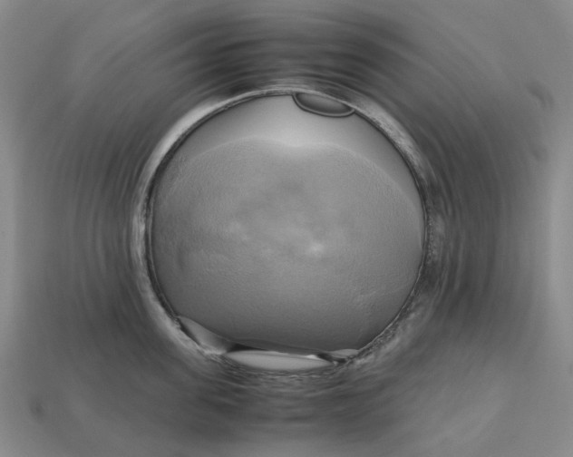 X0000112970955200909171315