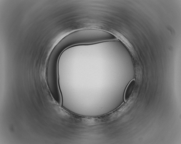 X0000112970956200909171315