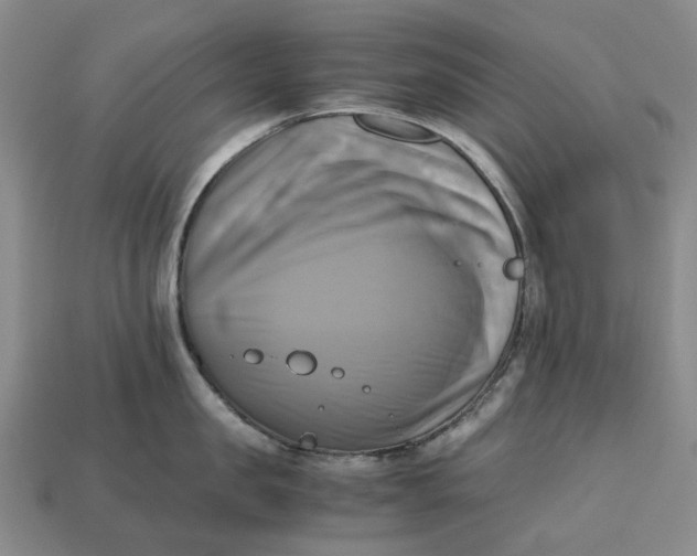 X0000112970957200909171315